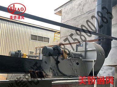 大型生物科技有限公司配套我公司風機點火成功！